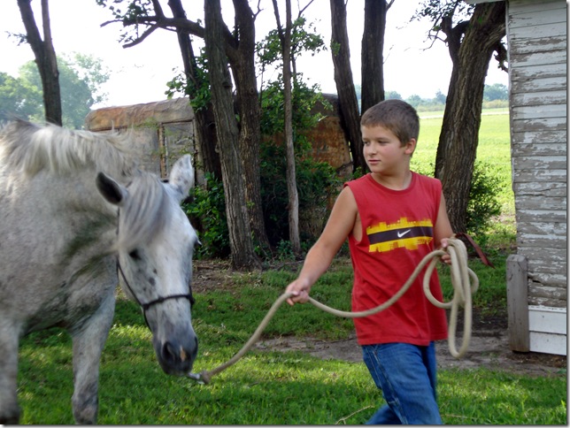 This horse was a saint for the kids.